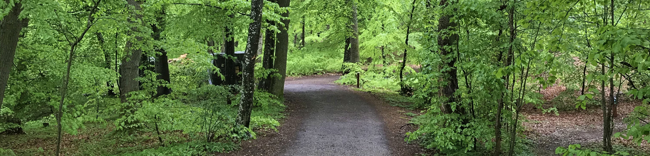 Bronx Running